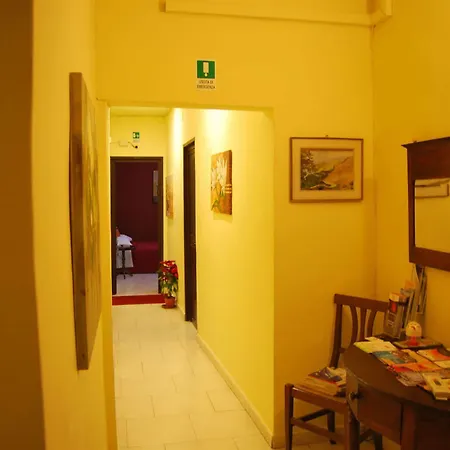 Bellini *