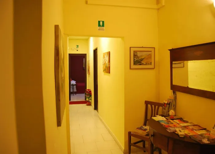 Bellini *
